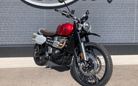 TRIUMPH  TRIUMPH  SCRAMBLER 1200X 2024 DADR0H
