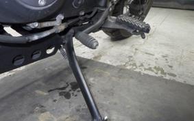 TRIUMPH STREET SCRAMBLER 2019