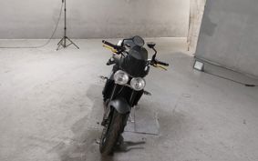 TRIUMPH STREET TRIPLE R 2009 TMD416