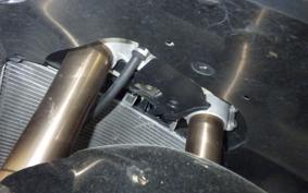 SUZUKI GSX-R1000 2010