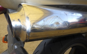 HONDA HORNET 250 MC31