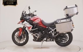 TRIUMPH TIGER 900 GT PRO 2024