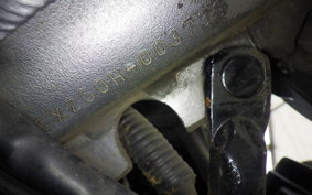 KAWASAKI ZZ-R250 EX250H