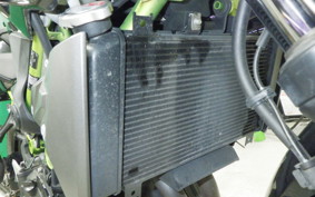 KAWASAKI Z250 Gen.2 2000 EX250P