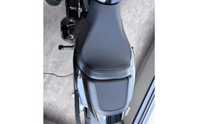 HARLEY FXDR114 2019 YVK