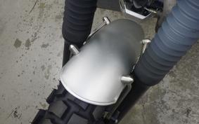 OTHER MUTT250 2024