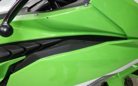 KAWASAKI ZX-4RR 2024 ZX400P