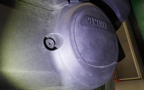 YAMAHA CYGNUSｸﾞﾘﾌｧｽ SEJ4J