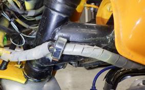 HONDA MONKEY 2024 Z50J