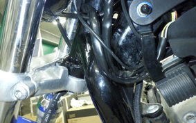 OTHER +HD. XL883L-I 2007