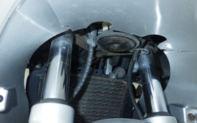 KAWASAKI ZZ-R250 1996 EX250H