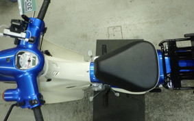 HONDA C110 SUPER CUB