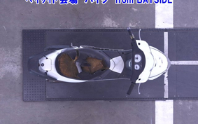 SUZUKI ZZ