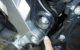SUZUKI V-STROM 250 2002