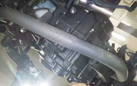 HONDA REBEL 250 2025 MC49