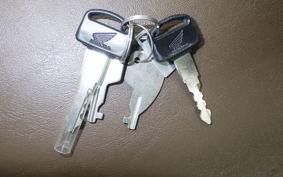 HONDA C110 SUPER CUB 2024 JA59