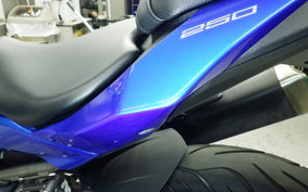 KAWASAKI Z250 SL 2021 BR250E