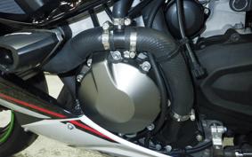 KAWASAKI NINJA ZX-6R A 2021 ZX636G