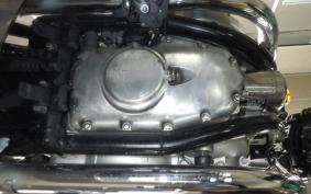 KAWASAKI W800 2025 EJ800E