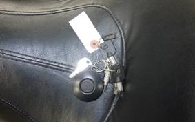 OTHER +HD. FLSTN1580 2018