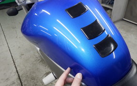 HONDA VTR 250 Gen. 2 MC33