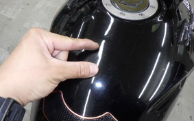 SUZUKI BANDIT 250 V Type 2025 GJ77A