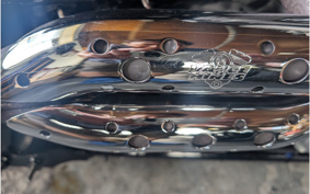 HARLEY  HARLEY FXCW 2009 JJ5