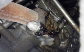 HONDA FORESIGHT MF04