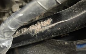 HONDA  TACT  BASIC  AF79