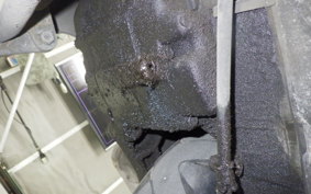 HONDA FORESIGHT 2019 MF04