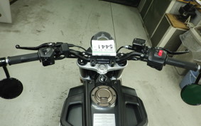 HUSQVARNA SVARTPILEN 401 2021