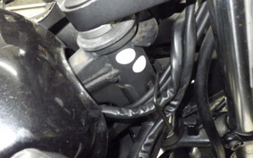 KAWASAKI NINJA 250R 2023 EX250K