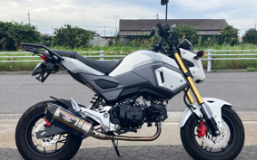 HONDA GROM JC61