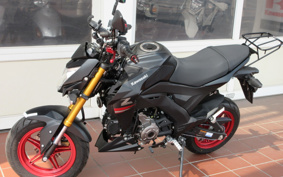KAWASAKI Z125 PRO BR125H