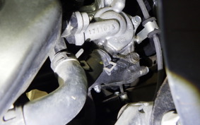 HONDA TACT Basket 2020 AF79