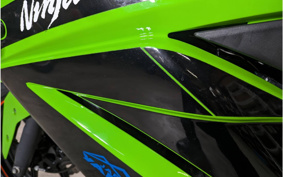 KAWASAKI NINJA 250R EX250K