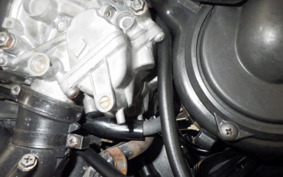 HONDA HORNET 250 2004 MC31