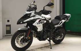 BENELLI BENELLI TRK502X 2025