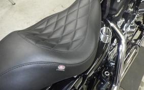 HARLEY XL1200XS 2020