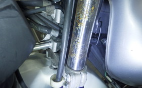 HONDA XR250 BAJA 2010 MD30
