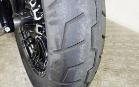 OTHER +HD. XL1200X 2017