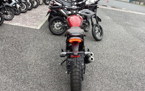 TRIUMPH SCRAMBLER 400X 2024 T147Y6