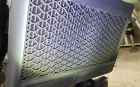 HONDA REBEL 250 2001 MC49