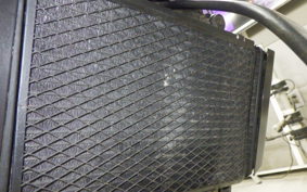 KAWASAKI ELIMINATOR 250 V