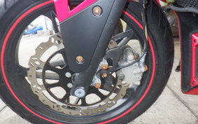 OTHER +ﾒｶﾞﾘ250R