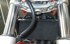 HONDA HORNET 250 MC31