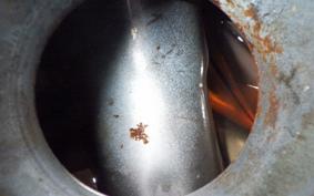 YAMAHA TW200 Gen.2 DG07J