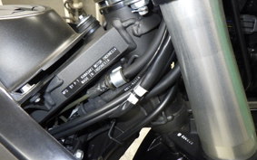 KAWASAKI KLX230SM 2011 LX230A