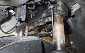 OTHER +UNREGISTERED MODEL by BDS TRIKE200