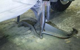 HONDA LEAD 110 2025 JF19